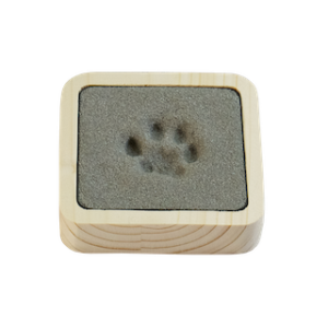 Pfotenabdruck-Katze-Sand Natur natürlich