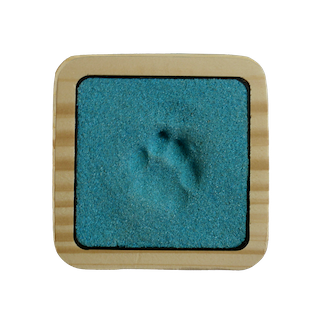 Pfotenabdruck-Katze-Sand Natur natürlich Blau