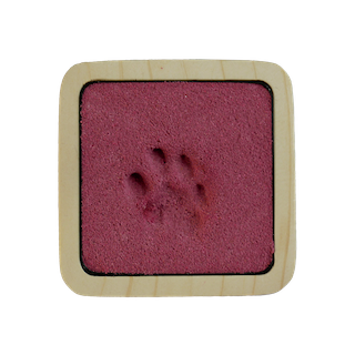 Pfotenabdruck-Katze-Sand Natur natürlich rot Andenken-Katze